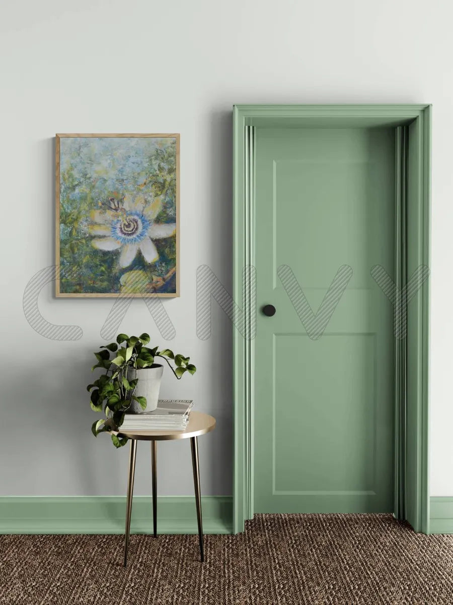 Passiflora