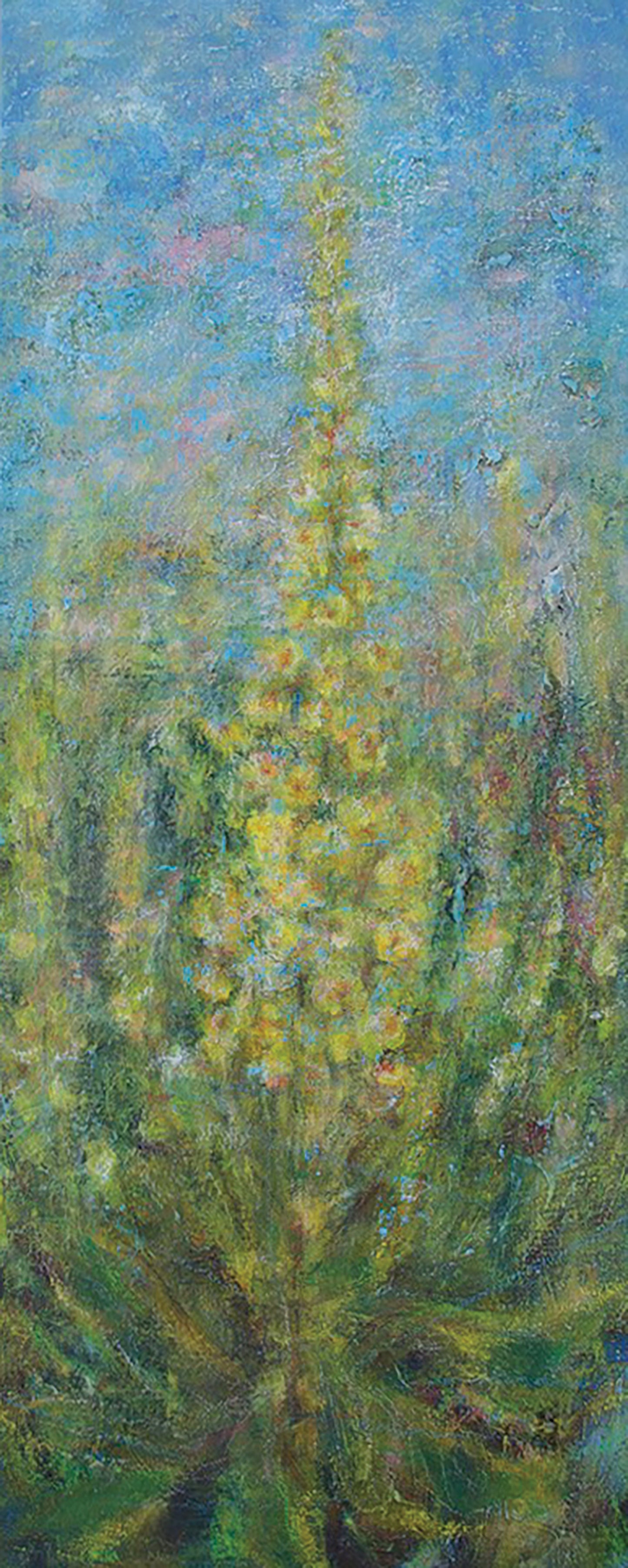 Verbascum thapsus / Üheksavägine