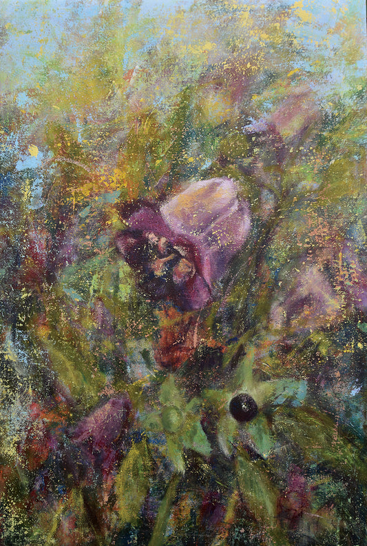 Belladonna