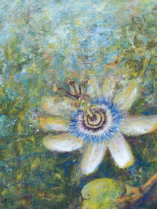 Passiflora